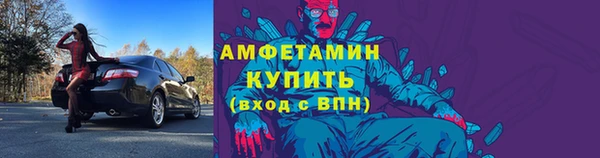 индика Бородино